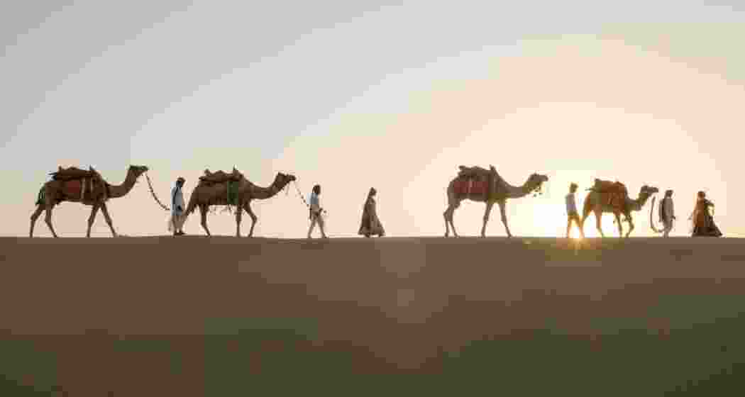 Camels are silhouetted against the setting sun in the Thar Desert, a region on the border of India and Pakistan.