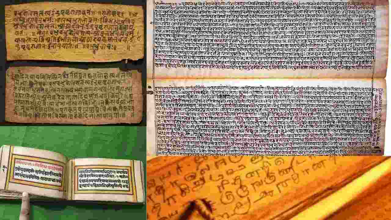 Ancient Indian manuscripts find new digital home