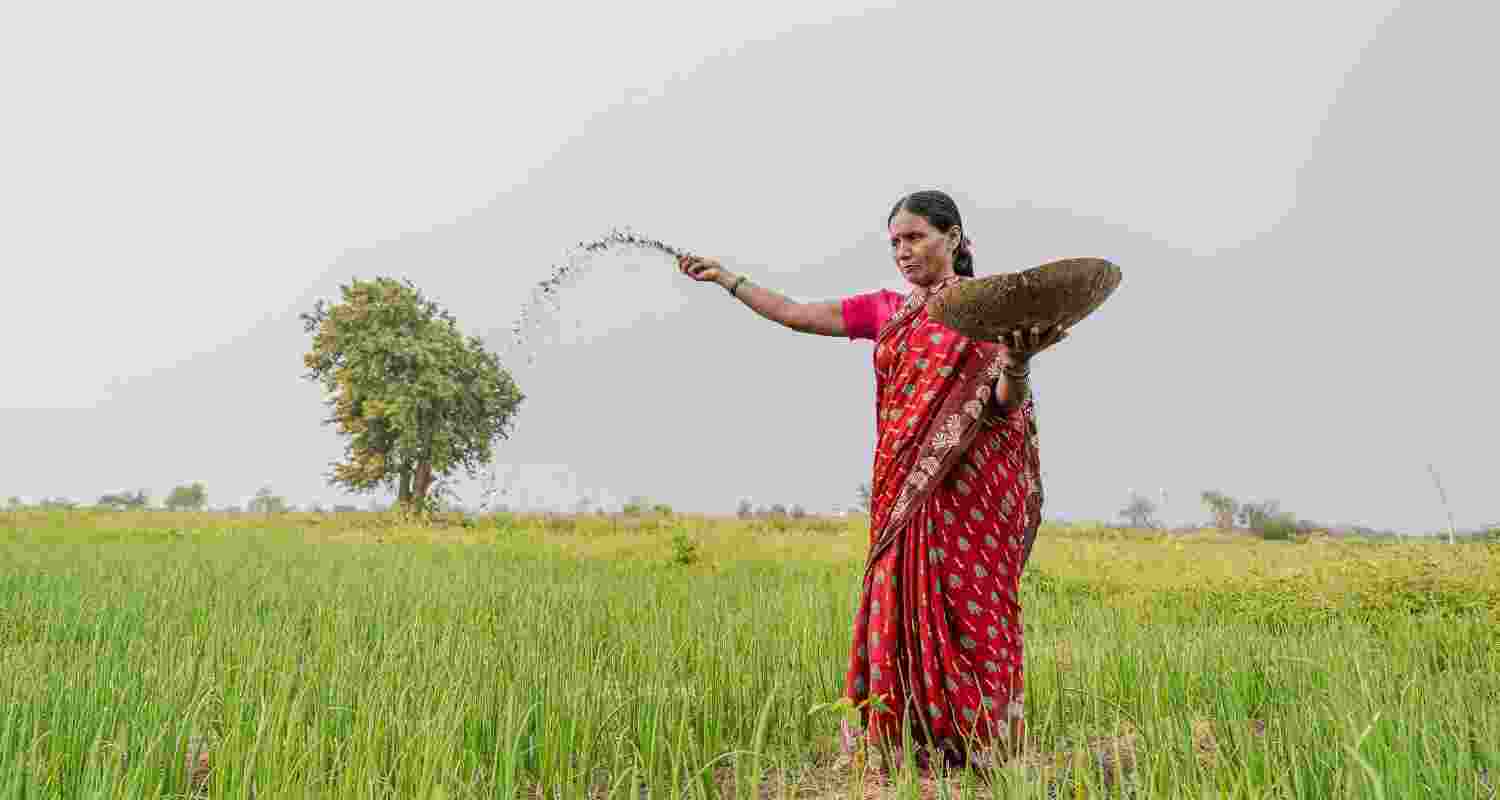 A farmer in Maharashtra. Image via Pexels. A farmer in Maharashtra. Image via Pexels.