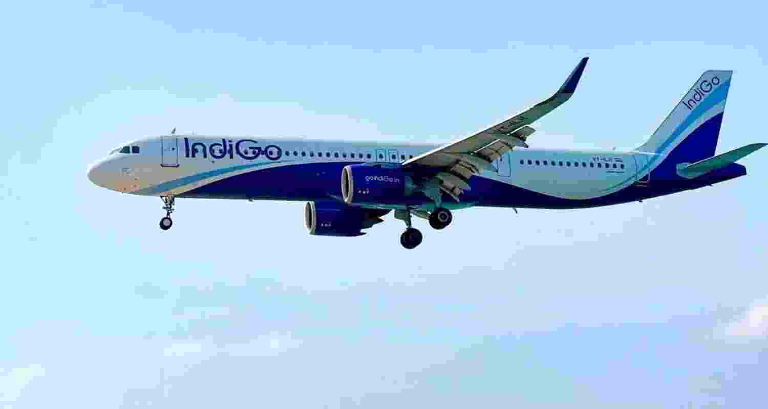 A representative image.