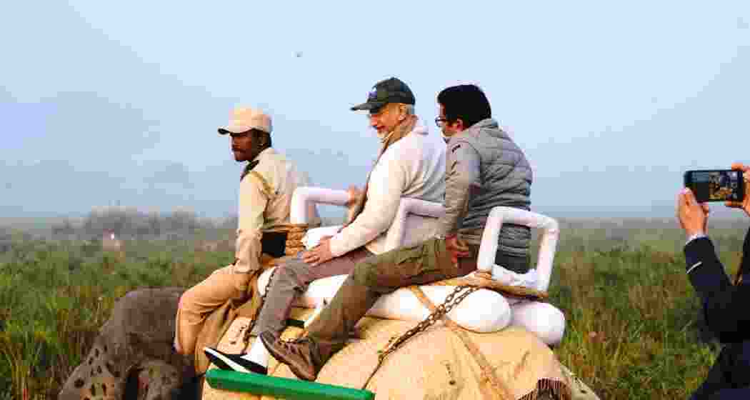 EAM S. Jaishankar explores Kaziranga National Park on an elephant safari, witnessing Assam’s rich biodiversity ahead of the Advantage Assam summit in Guwahati.