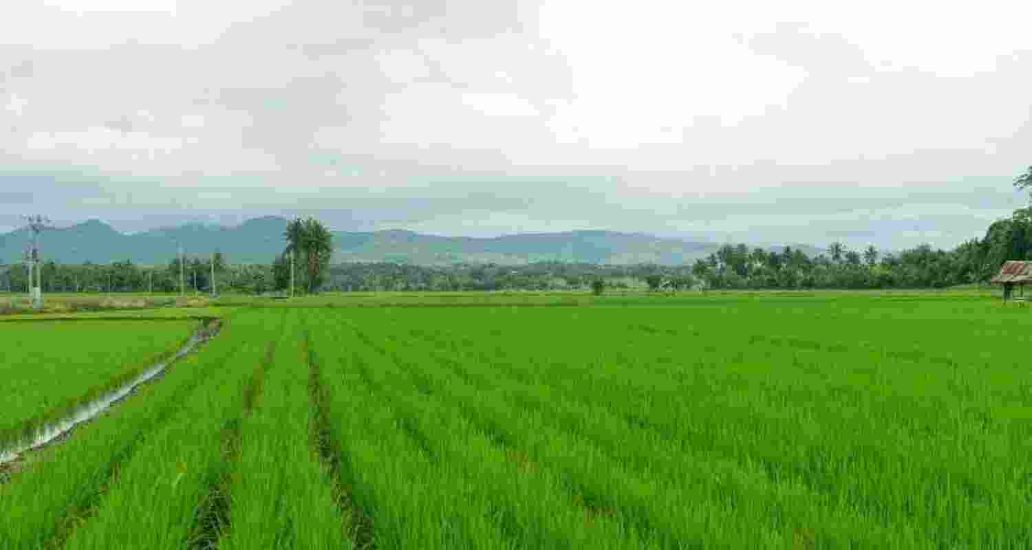 Representative Image. Representative Image.