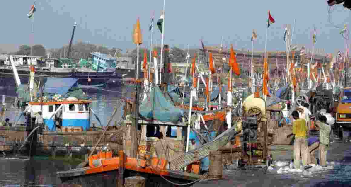 ₹50 crore central grant released to Gujarat under PMMSY