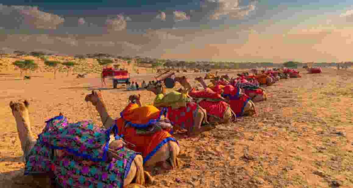 A policy brief released by the ATREE at the meeting highlighted the ecological, economic and cultural significance of Rajasthan's open ecosystems.