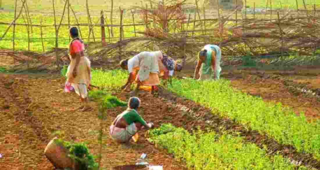 Maha govt inks MoUs to aid women farmers