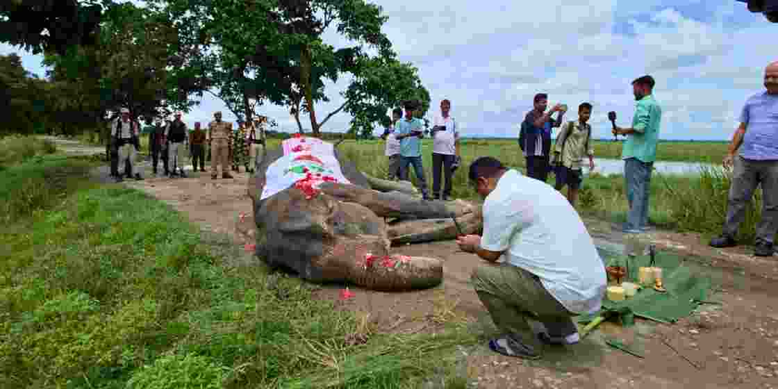 Officials pay final tribute to Mohanmala, Kaziranga’s oldest forest department elephant, who passed away on Thursday. 