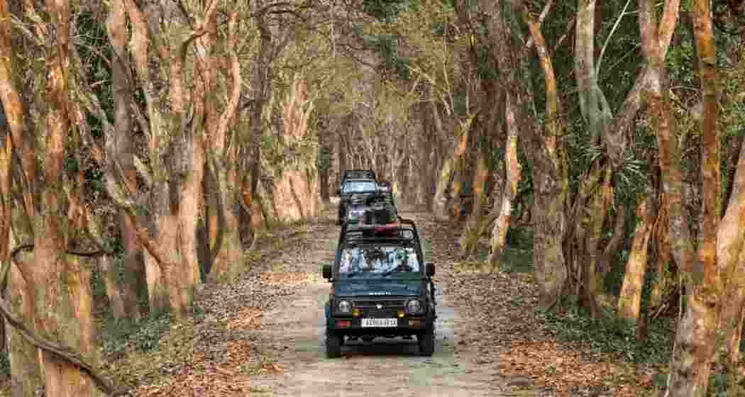Prime Minister Narendra Modi takes a Jeep Safari at Kaziranga National Park on 9 March 2024, becoming the first PM to visit the park since it was declared a National Park.