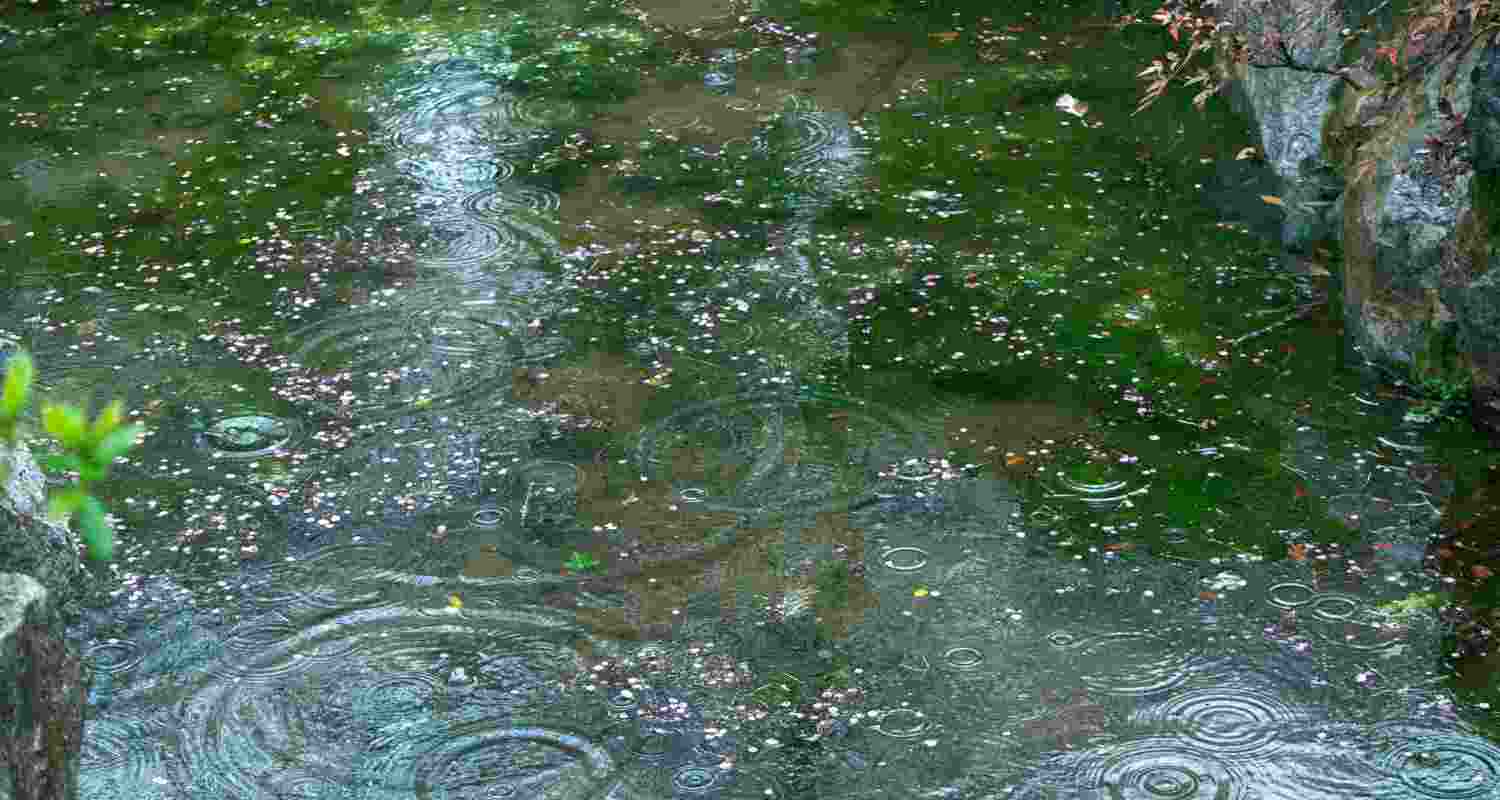 IMD issues orange alert in four Kerala districts as heavy rain, thunderstorms and strong winds hit; high UV radiation levels also recorded in parts of state.
