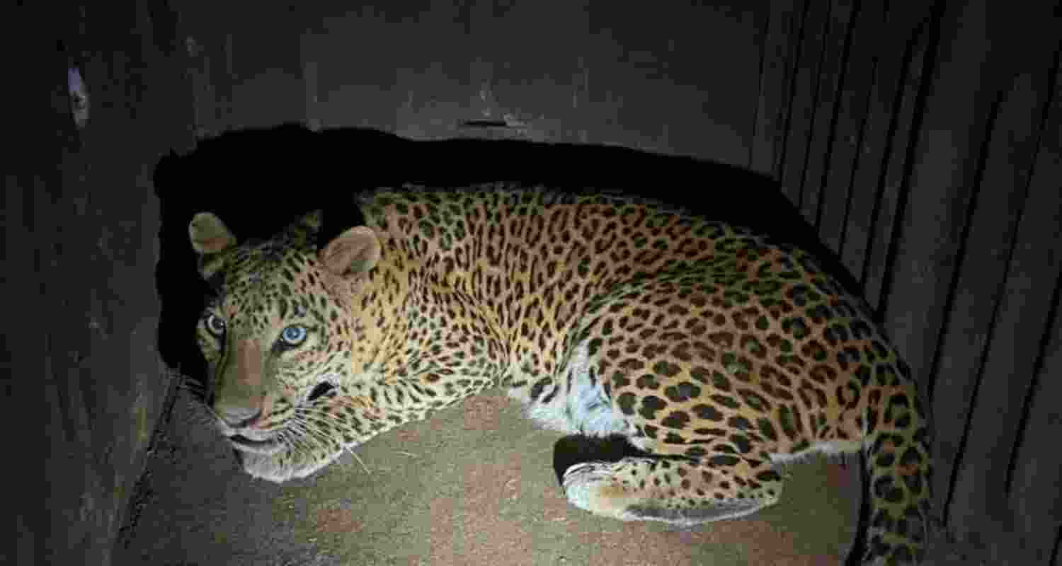 Representational image.