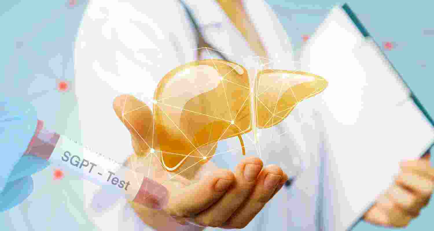 What SGPT means & Why it matters for your Liver?