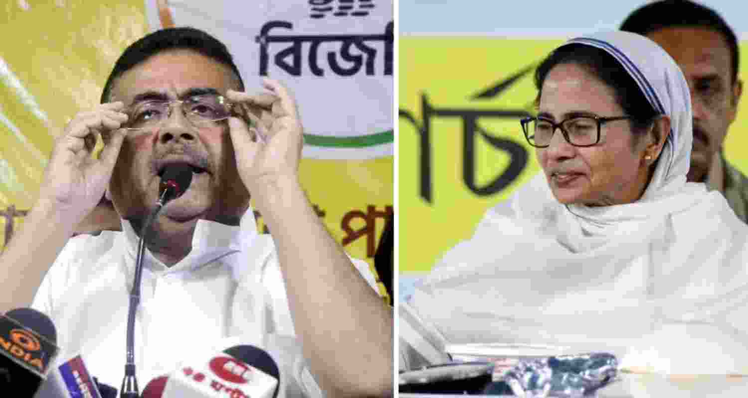 A representative image.