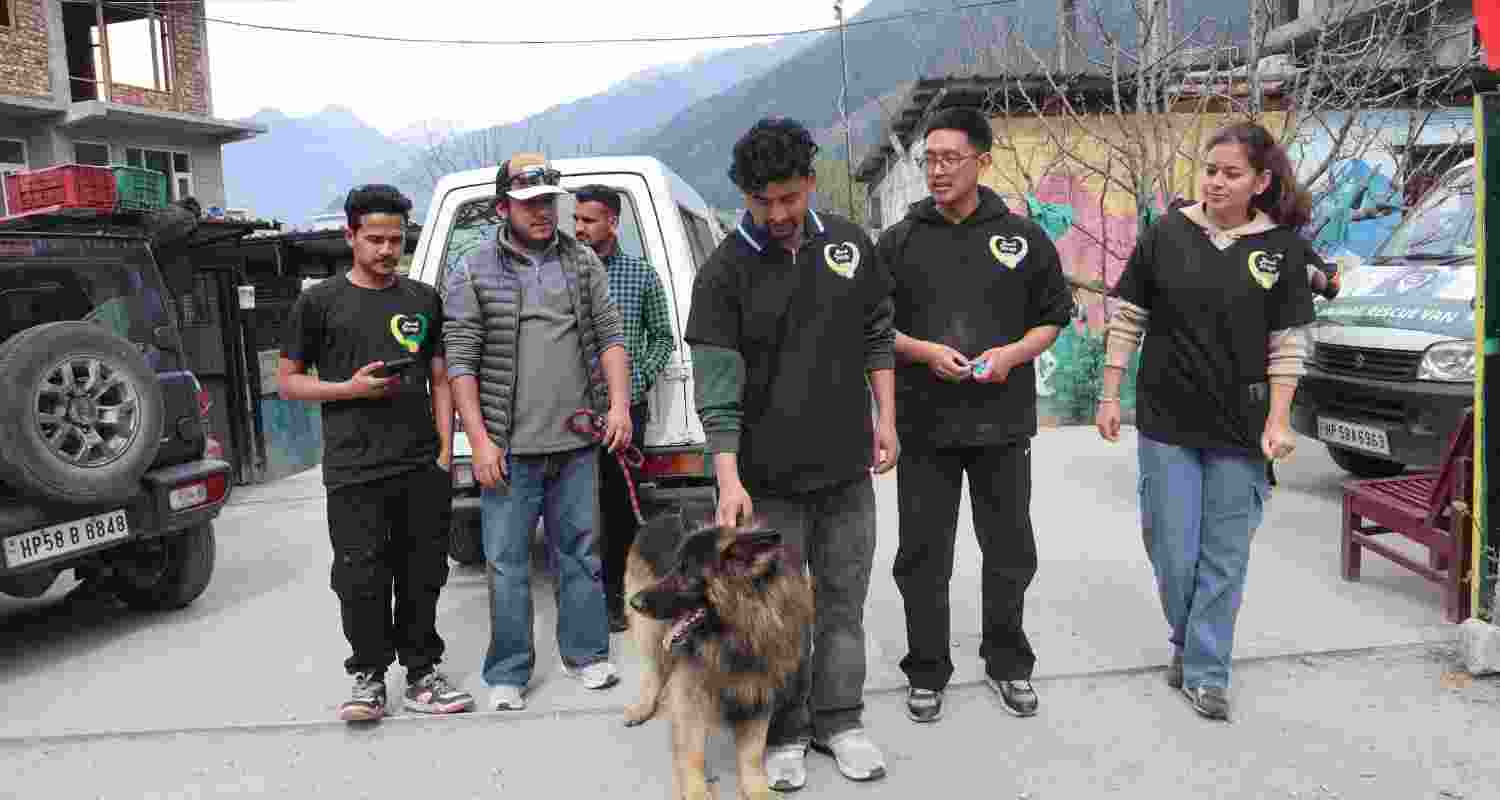 Team Manali Strays