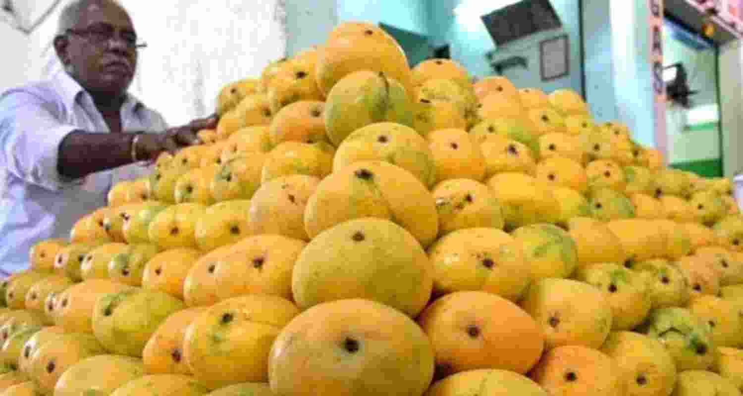 Mango ban: Andhra, K’taka locked in dispute