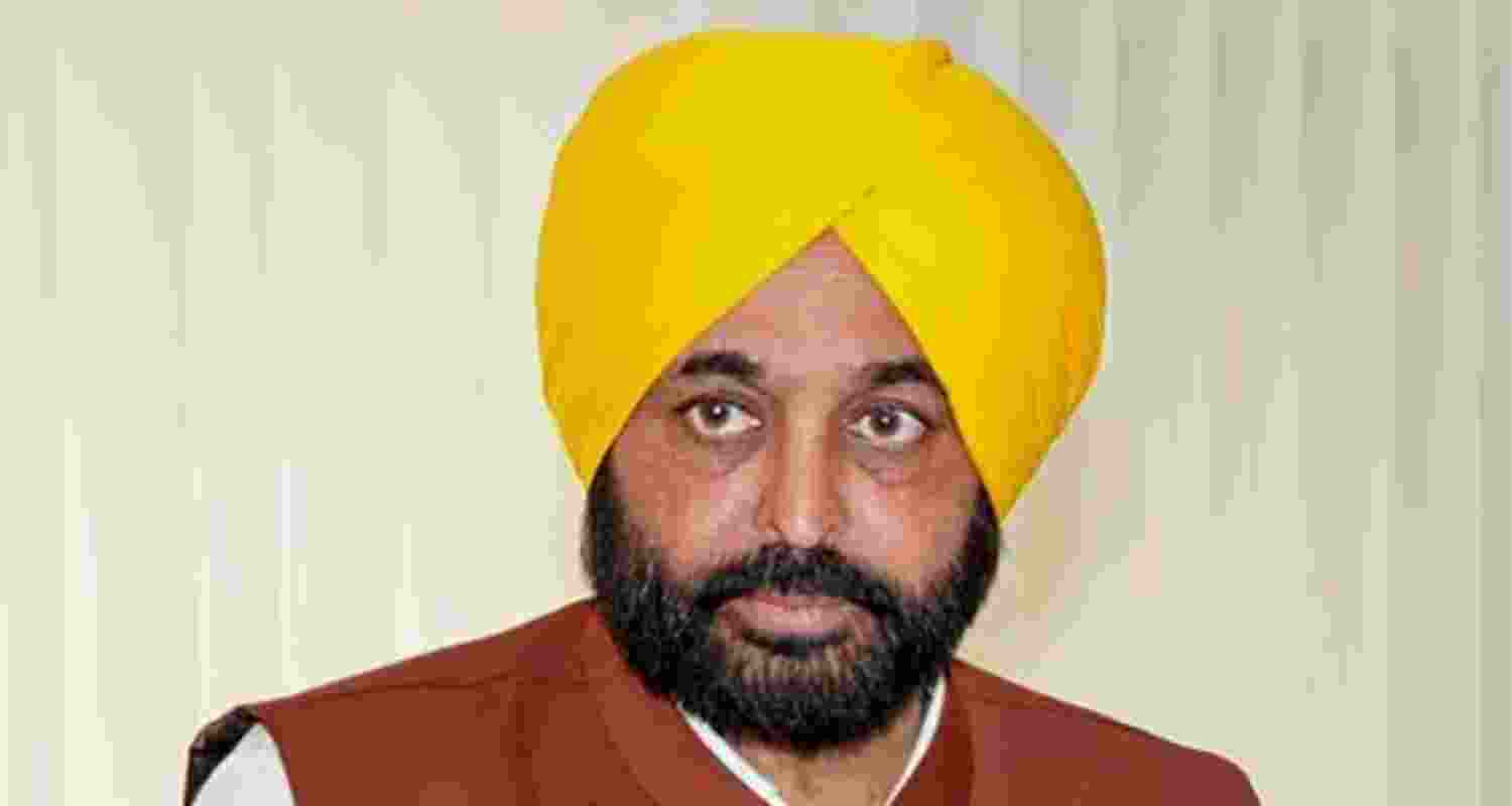 Punjab Chief Minister Bhagwant Mann - file image.
