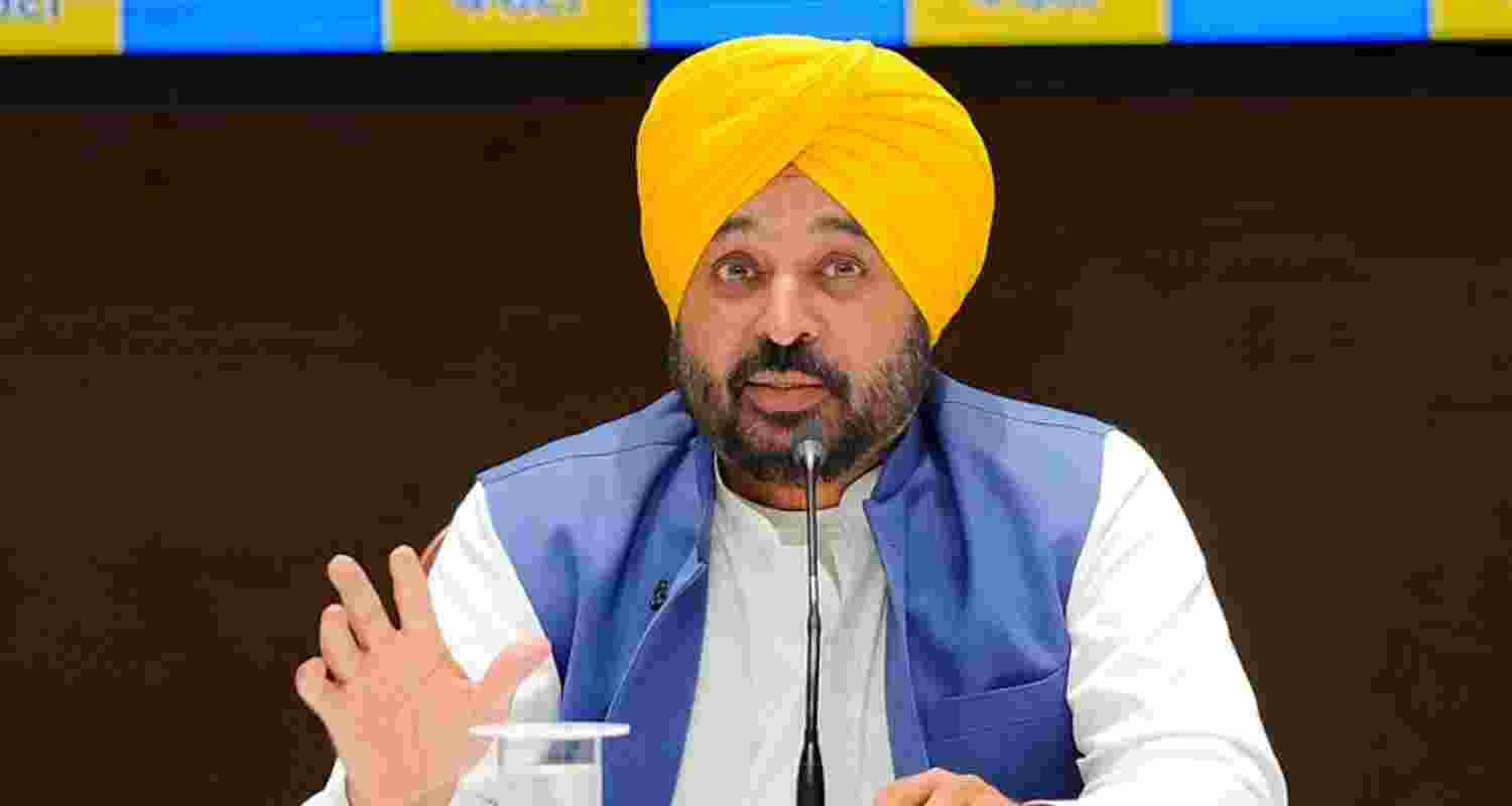 Punjab Chief Minister Bhagwant Mann - file image.