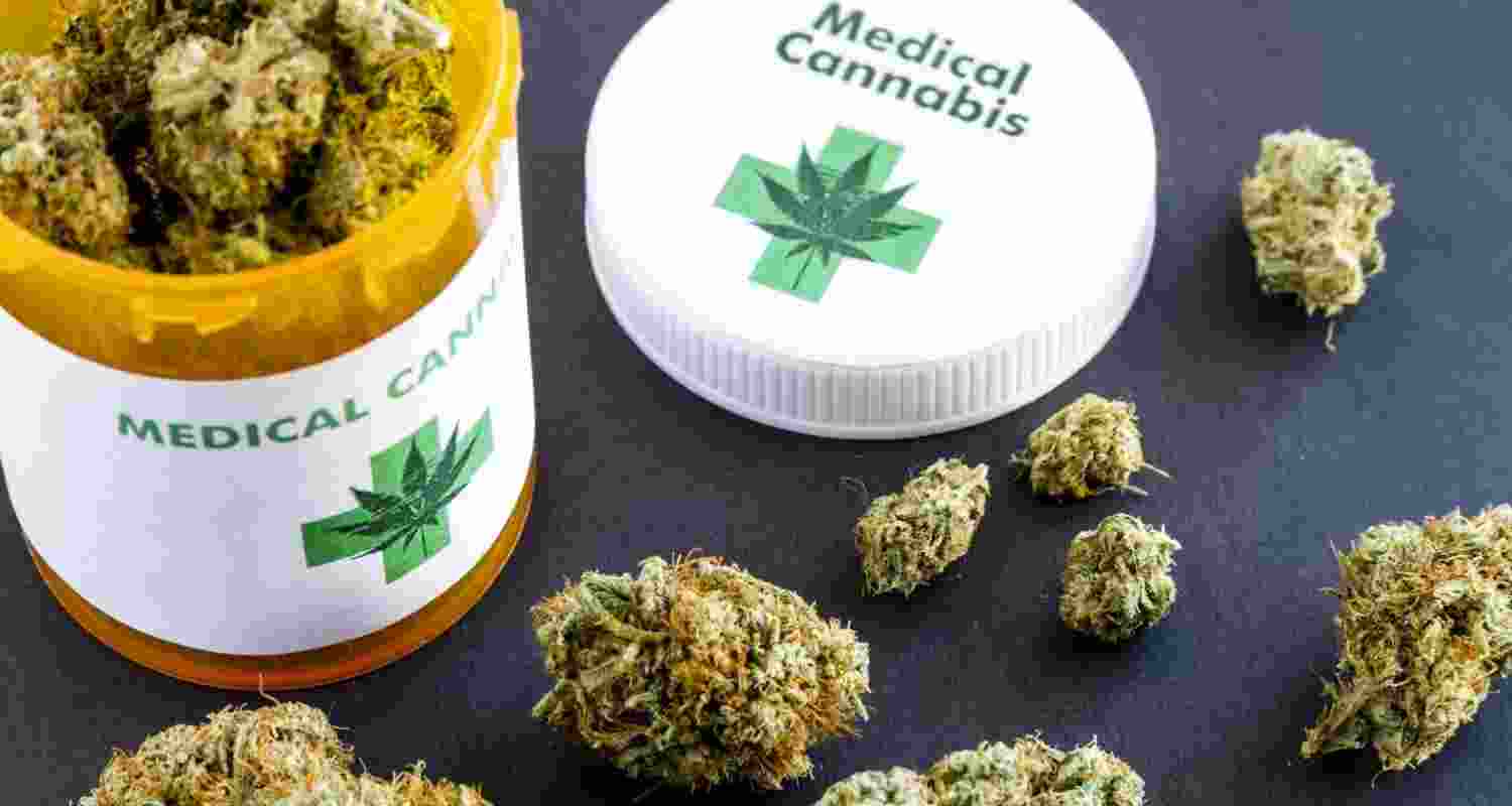Marijuana reclassification boosts medical research