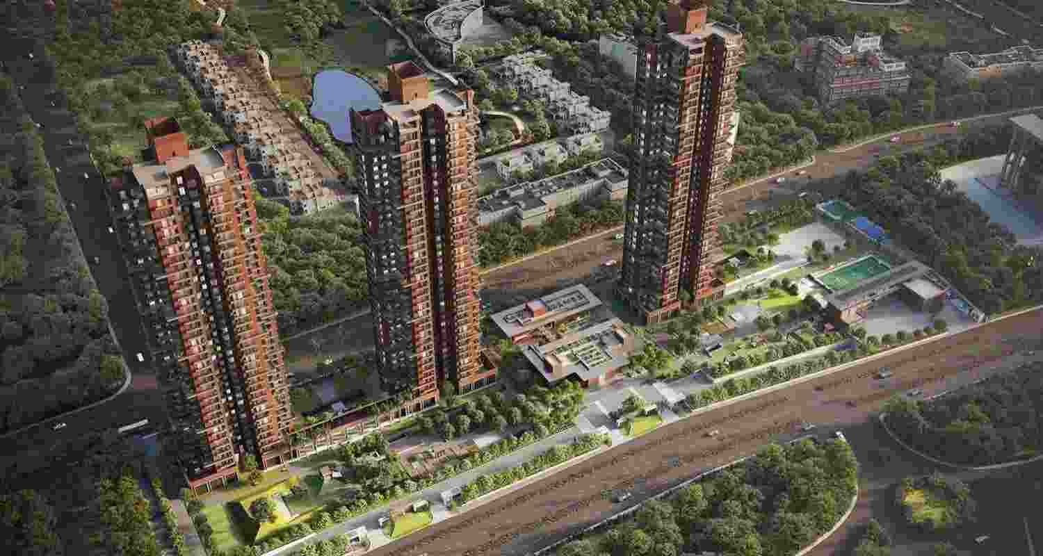 A representative image.