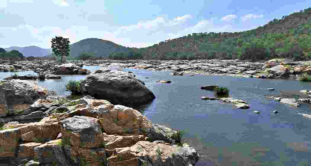  The view of the spot identified by the Karnataka Government for the Mekedatu project. 
