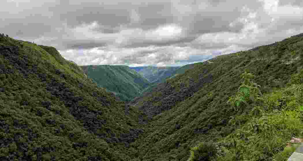 A representative image.