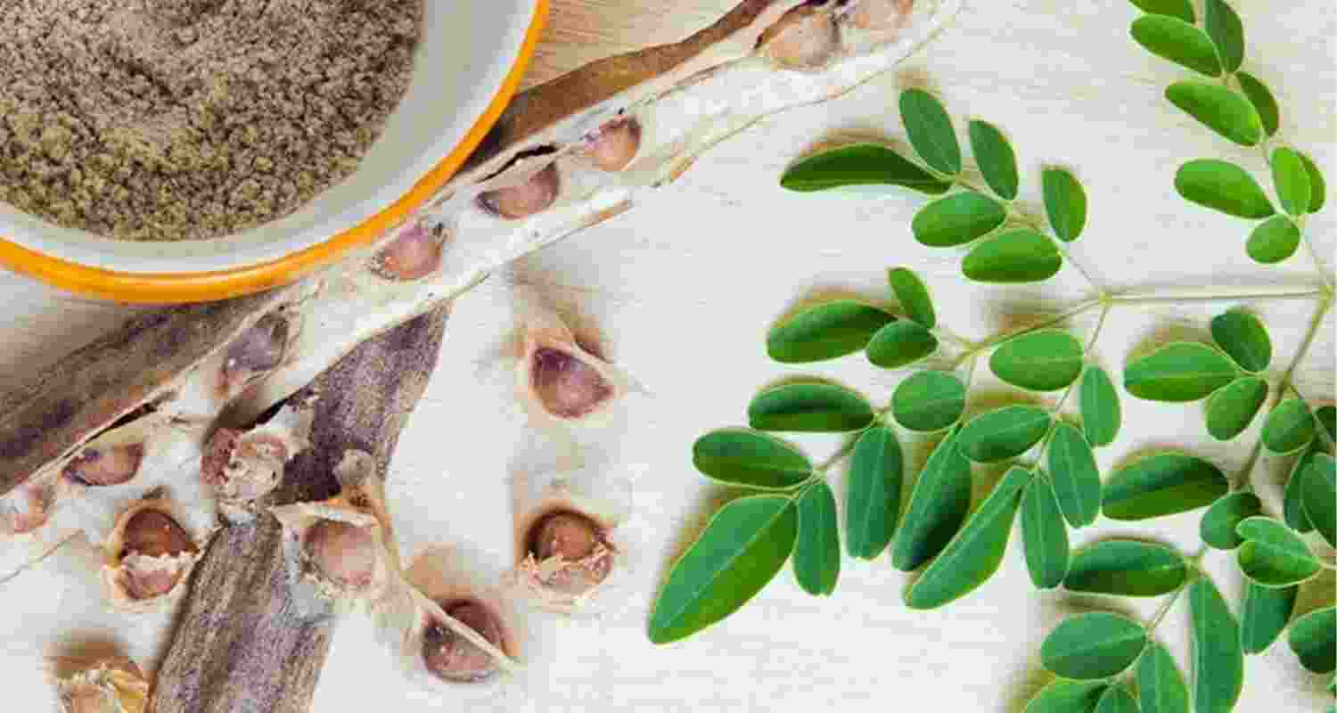 Moringa can filter out microplastics from your drinking water