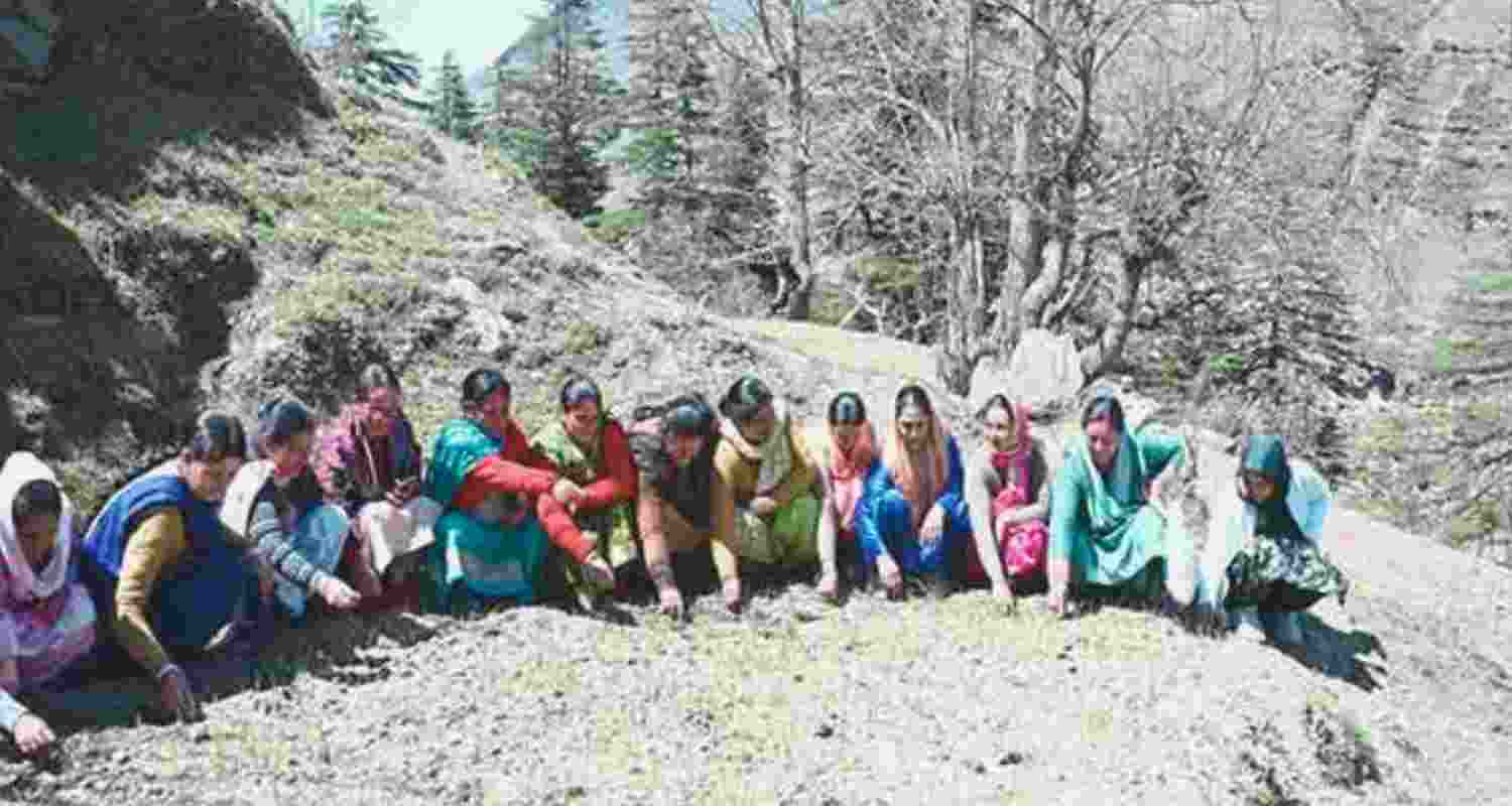 Pangi Valley becomes Himachal's first natural farming sub-division. 