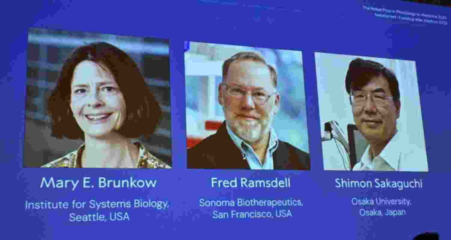 Mary E. Brunkow, Fred Ramsdell, and Shimon Sakaguchi have been awarded the 2025 Nobel Prize in Physiology or Medicine. The announcement was made by the Nobel Assembly at the Karolinska Institutet on Monday, in Stockholm, Sweden.