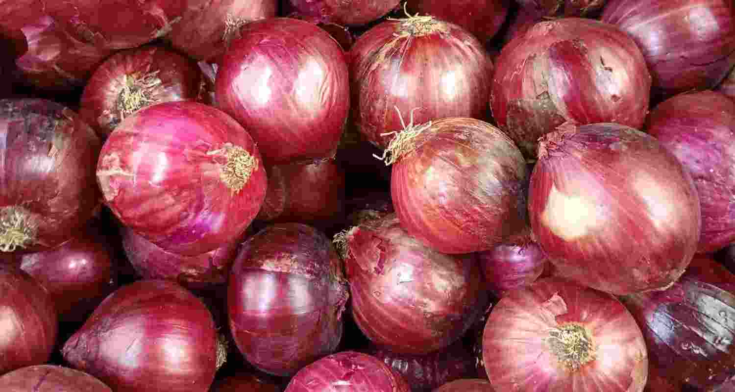 Centre to procure onions at Rs 12.35 per kg through NAFED after falling prices hit farmers amid disruptions caused by the West Asia crisis.