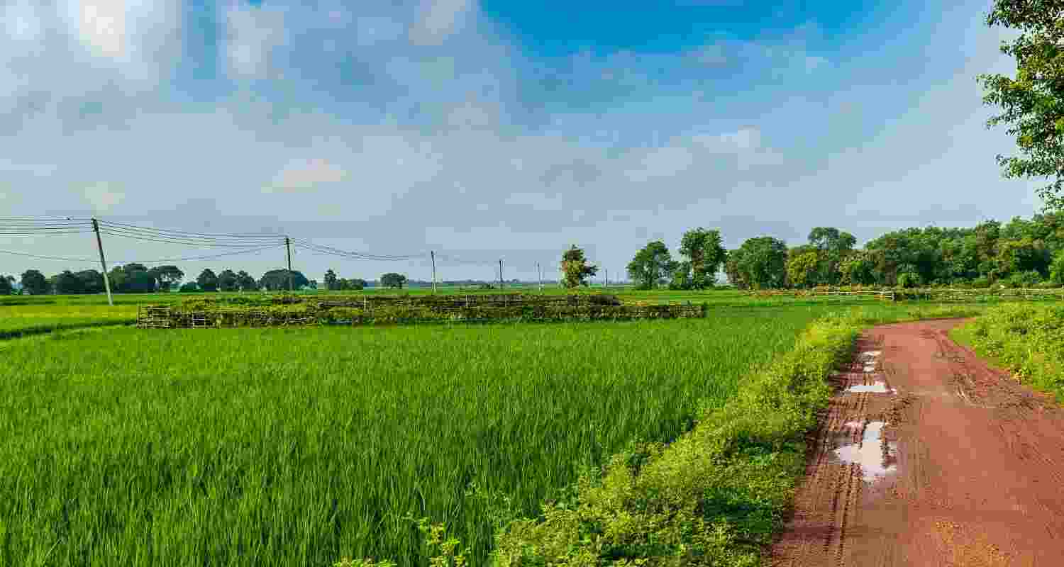 124 villagers in Palghar hand over land for Vadhvan Port, boosting progress of the Rs 76,220 crore mega project.