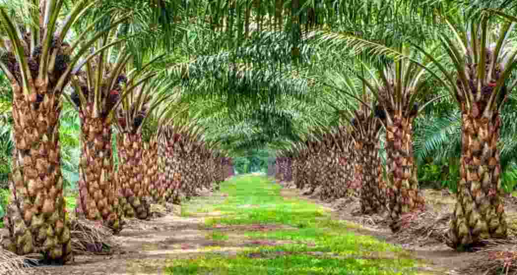 Image for representative use only.