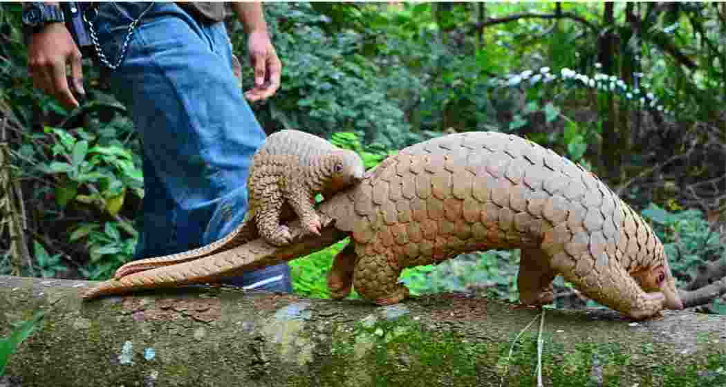 Representational image.