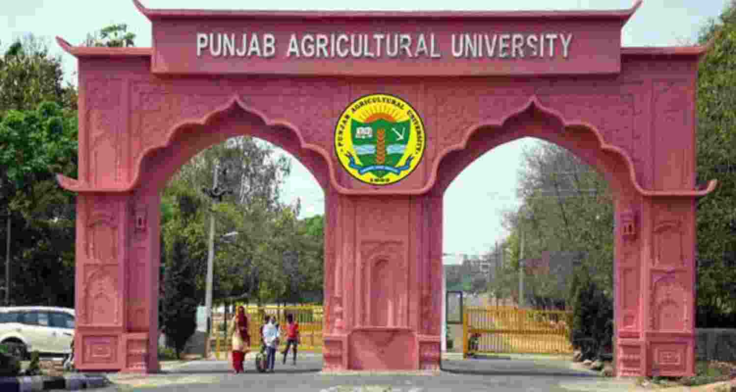 Representational image.