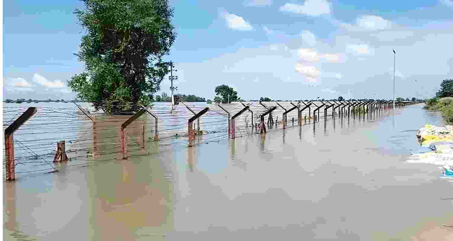  The submerged barbed wire fencing along the India-Pakistan border in Ferozepur.