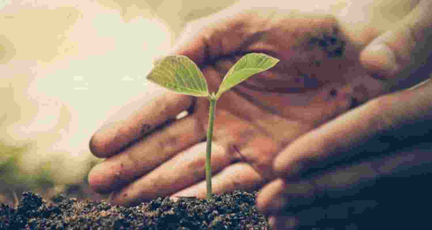 Indian Army leads plantation drive with locals in J&K's Doda