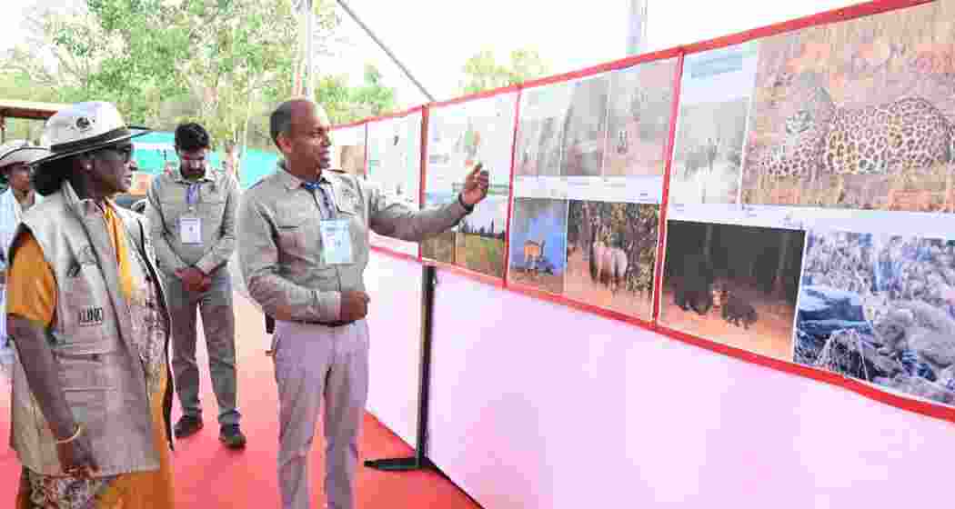 President Droupadi Murmu interacts with ‘Cheetah Mitras’ at Kuno National Park in Madhya Pradesh. President Droupadi Murmu interacts with ‘Cheetah Mitras’ at Kuno National Park in Madhya Pradesh.