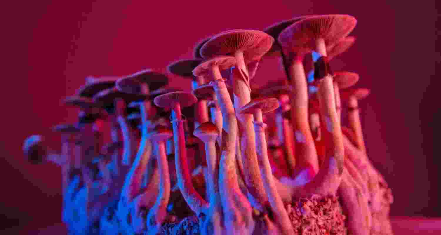Can psilocybin offer long-term depression relief?