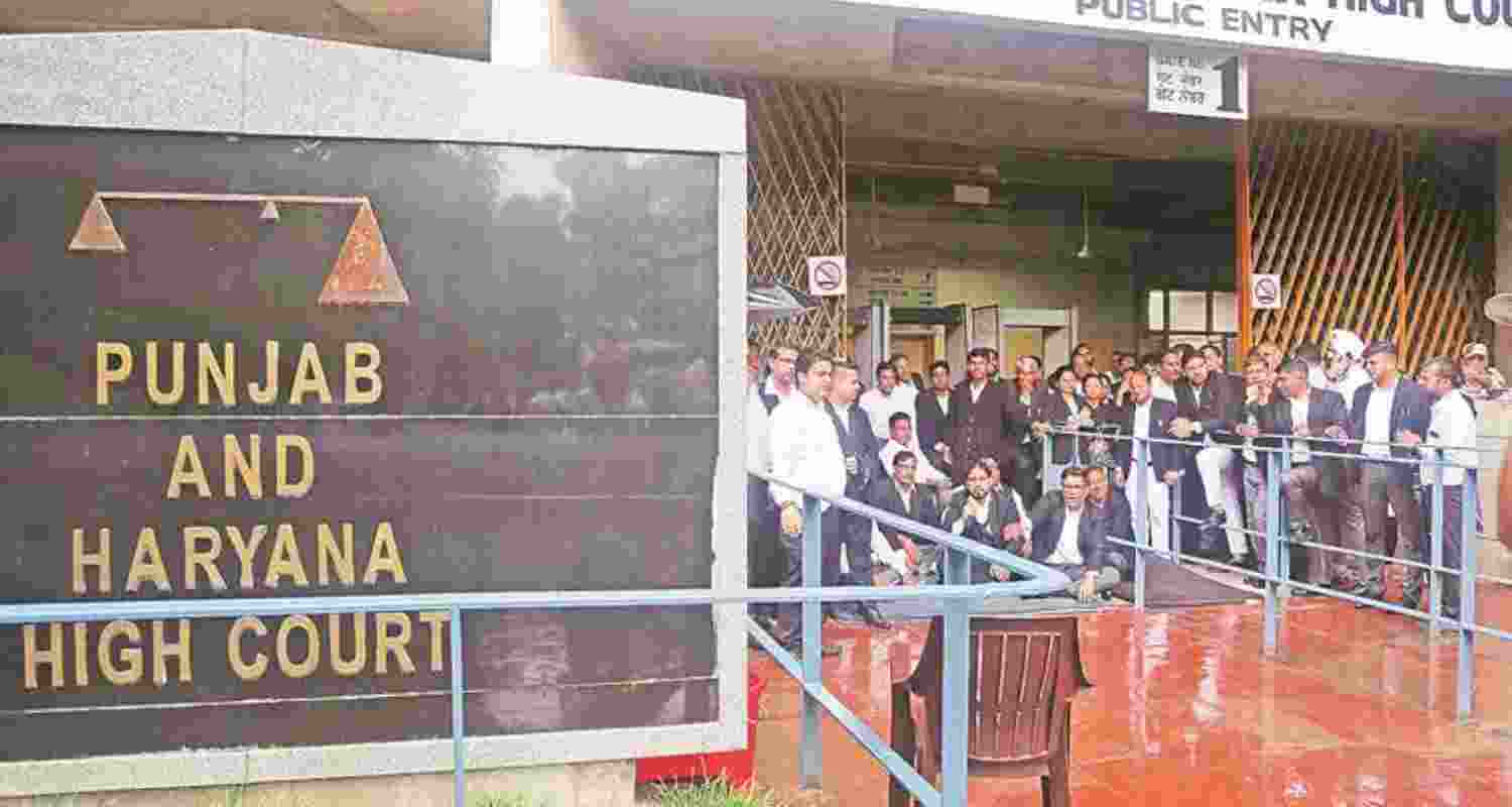 Punjab-Haryana HC faces judge shortage, backlog grows