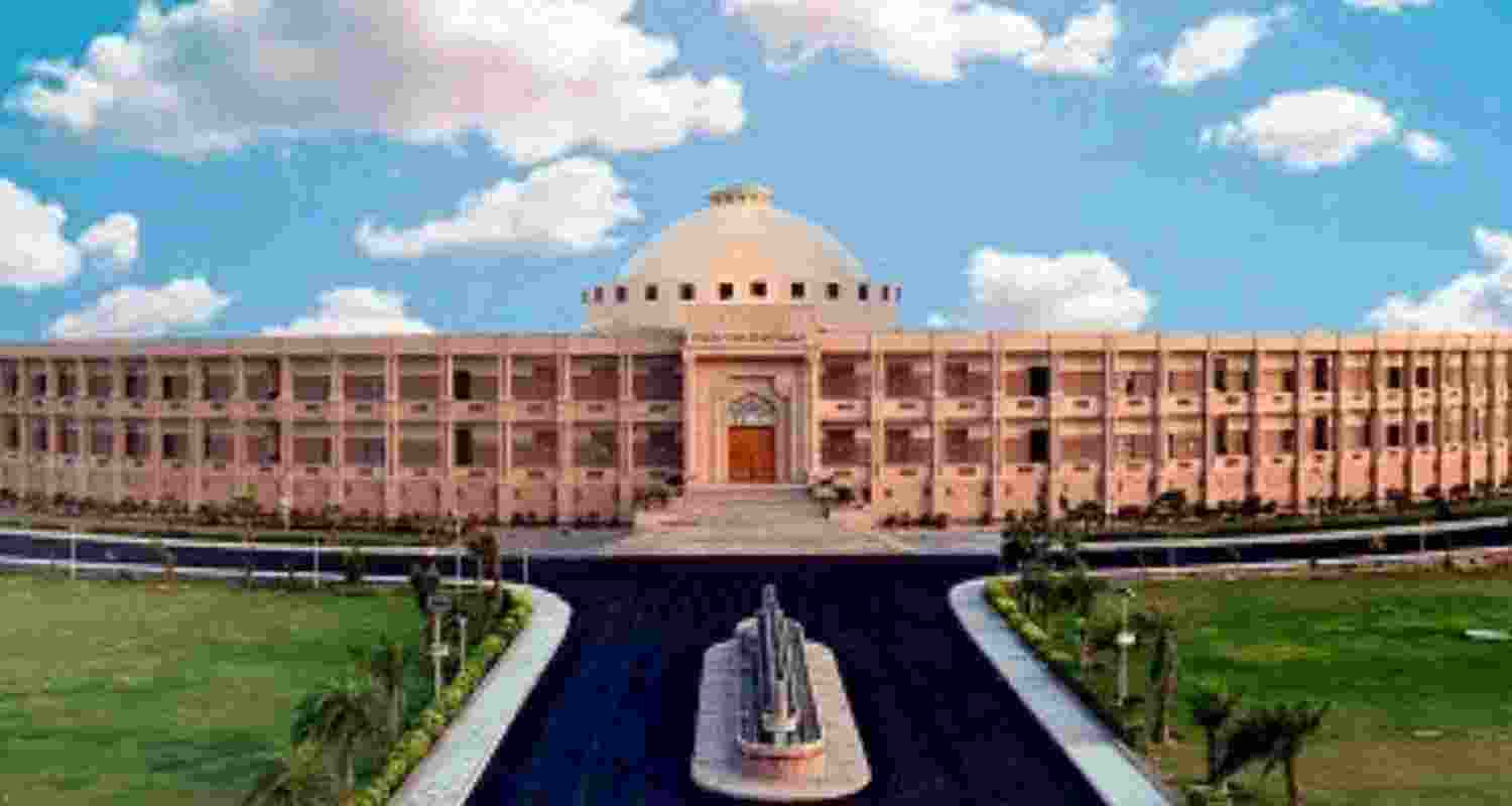 Rajasthan HC orders removal of stray dogs