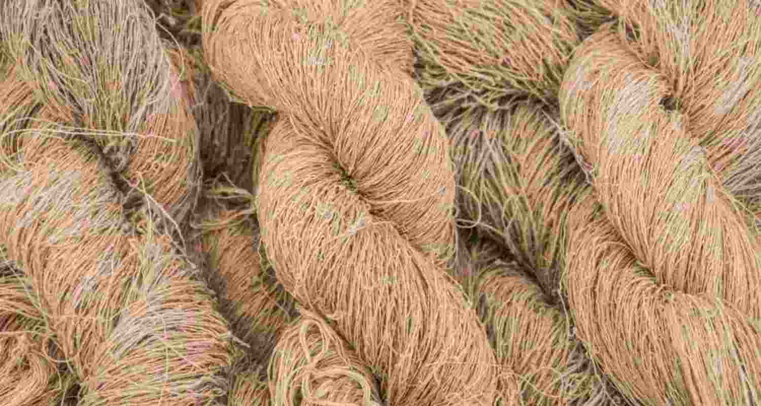 Govt hikes raw jute MSP to ₹5,925 for 2026-27