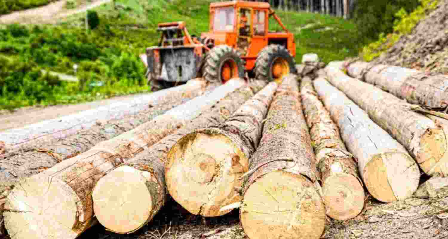 Representational image