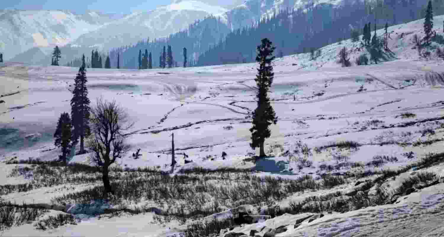 Representational Image.