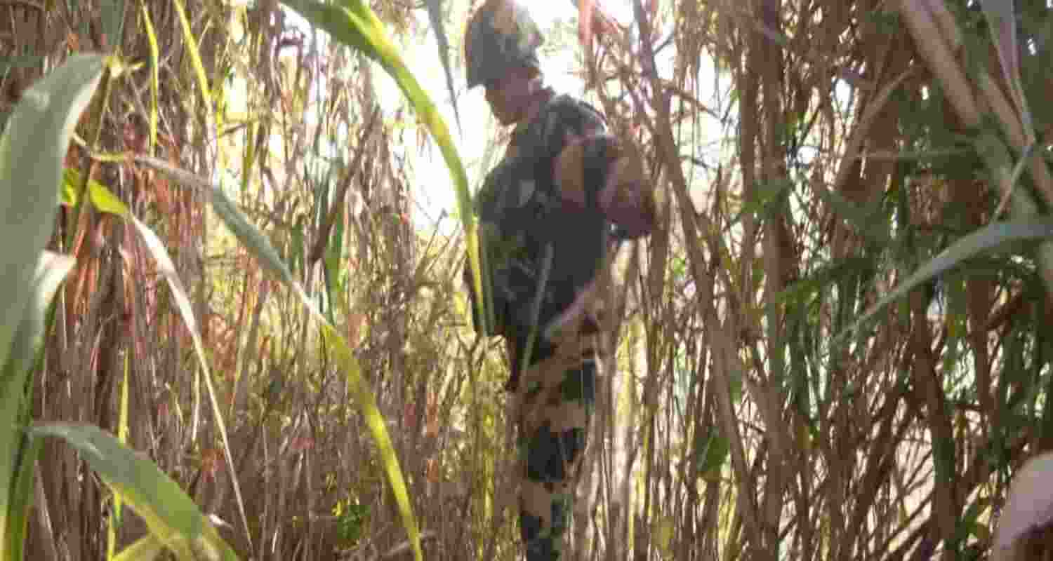 Representational image. 