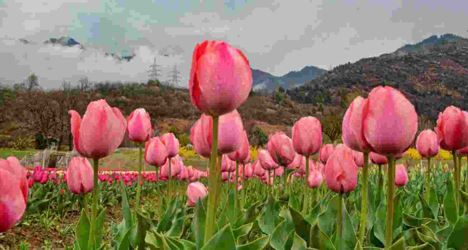 Representational image