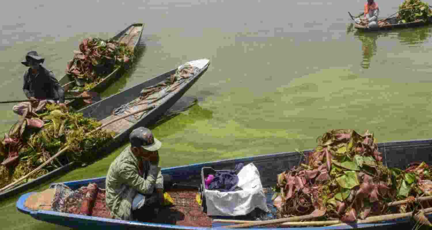 Representational Image.