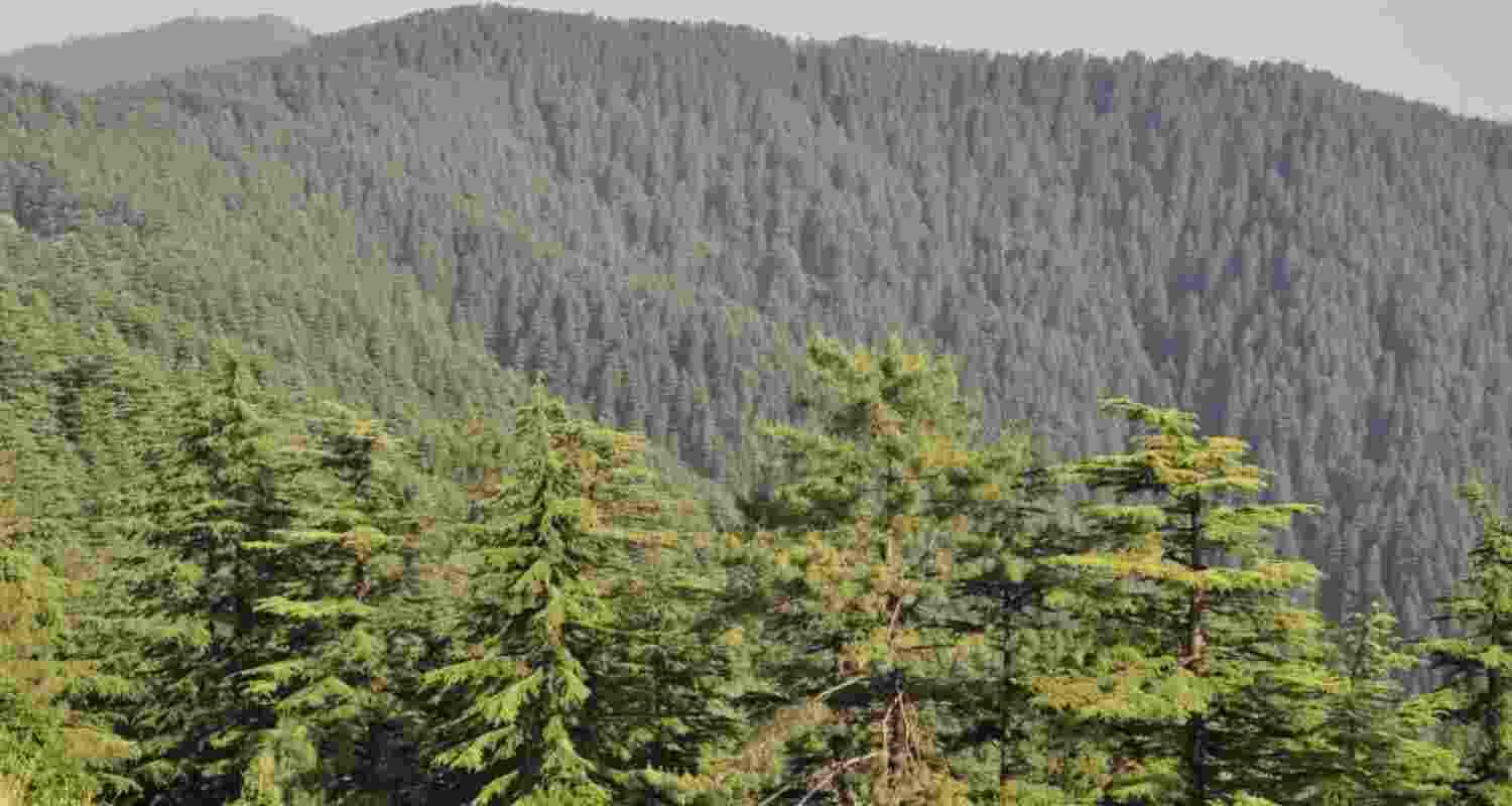 Representational image. 