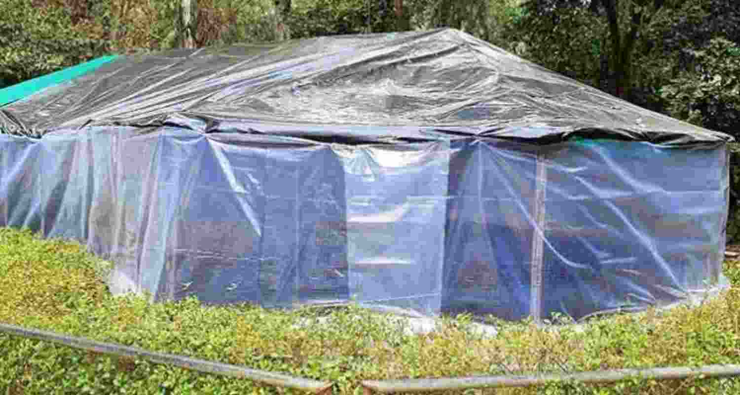 Representational Image.