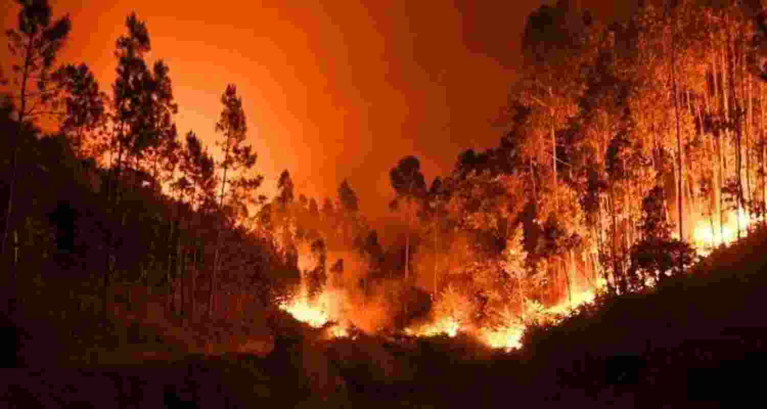 Representative Image