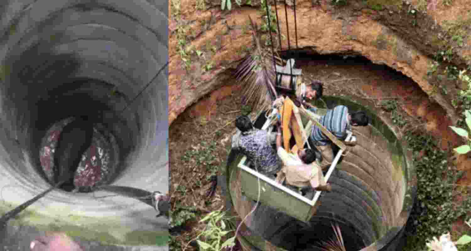 Elephant falls in well.