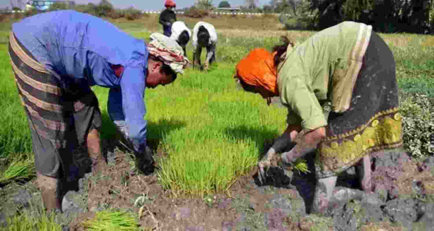 Representational image.