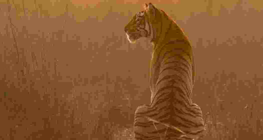 Representative Image.