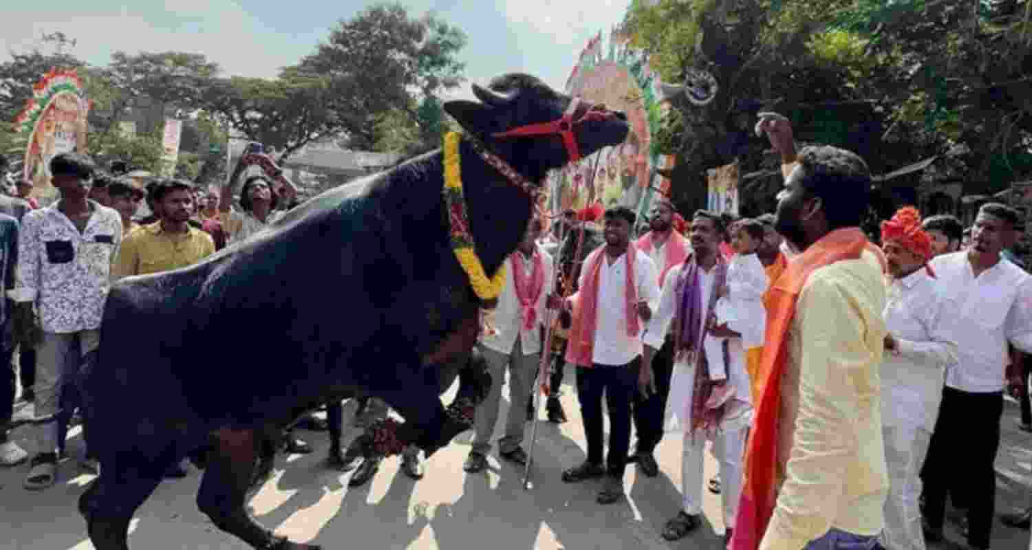 Telangana govt declares ‘Sadar Sammelan’ as state festival